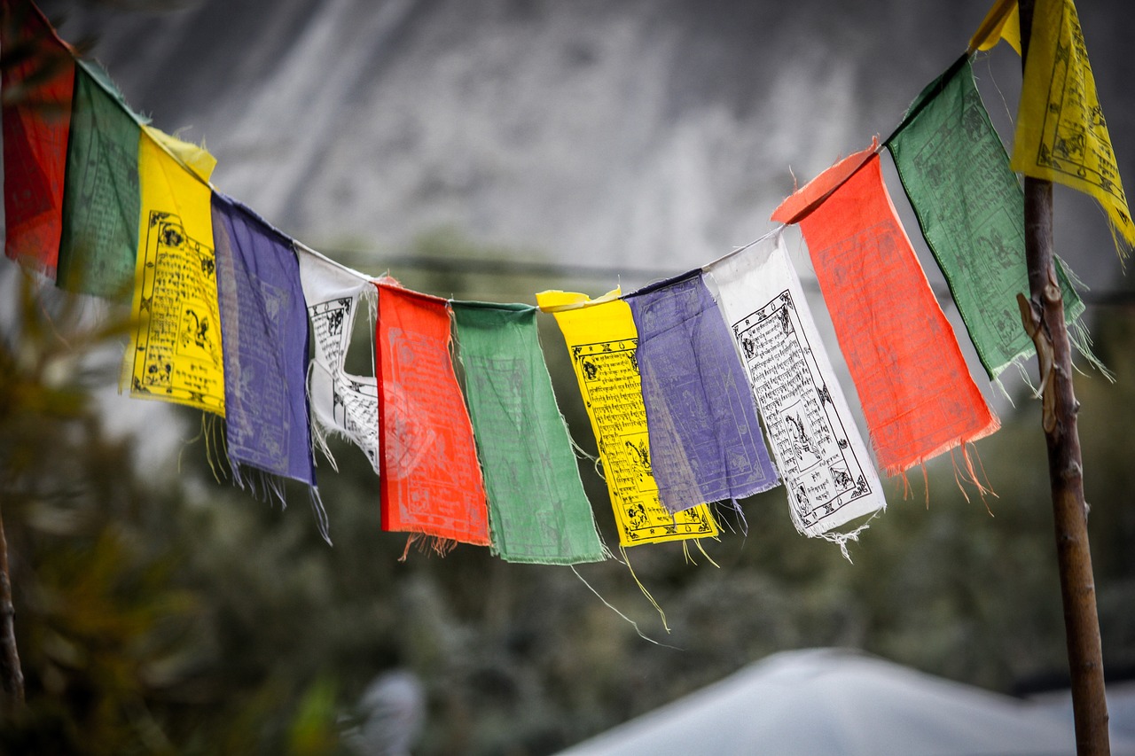 photography, ladakh, india-2443191.jpg