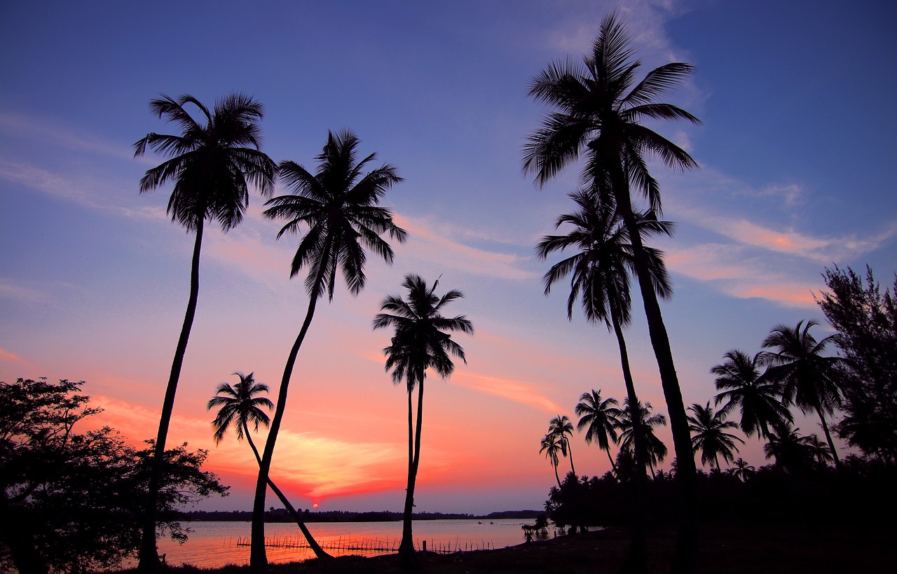 sri lanka, sunset, palm trees-2455695.jpg